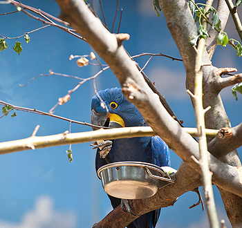 轰炸手机号软件