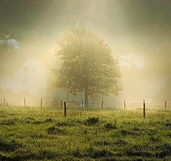 谁能介绍短信测压揭秘