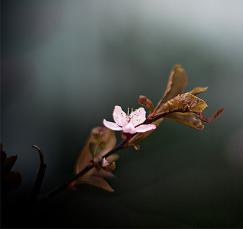 手机号轰炸免费软件