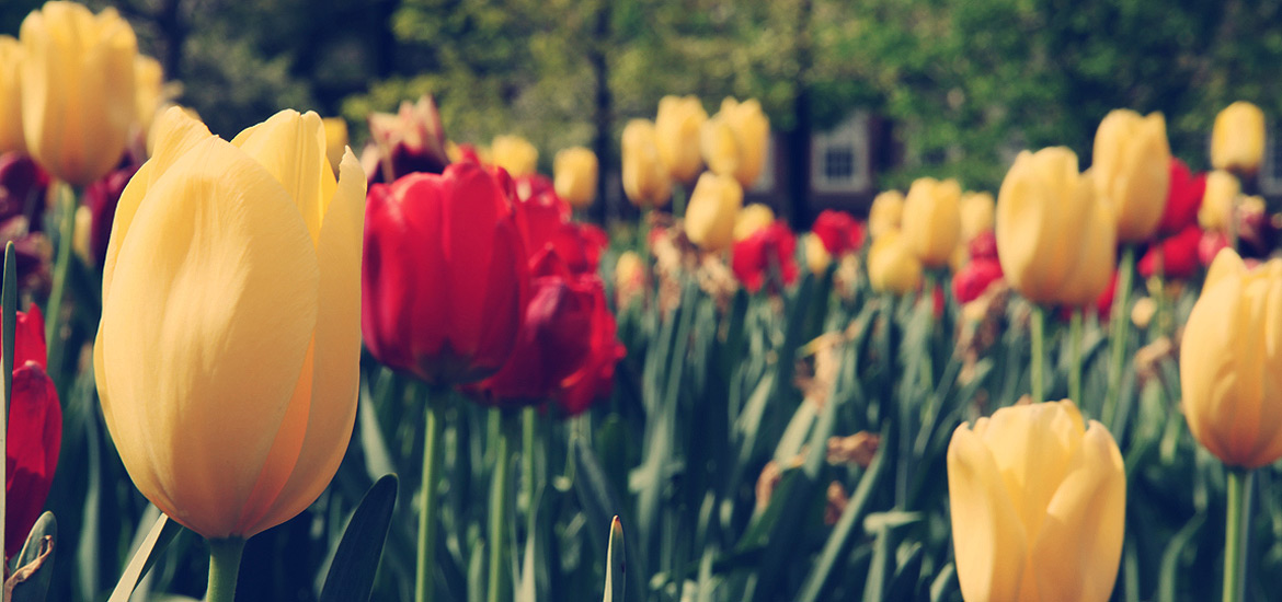 让生活更简单的网络电话呼叫软件免费版